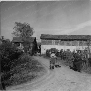 Altre immagini: cascina Trebbia in via Lampedusa, positivo, bianco e nero, mm 118x88. 