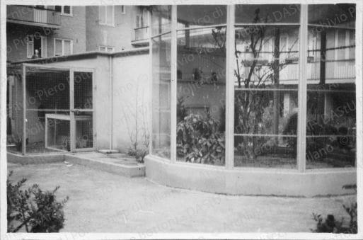 Paesaggi urbani, architetture, ambienti e situazioni diverse, positivo, bianco e nero, mm 58x88. 