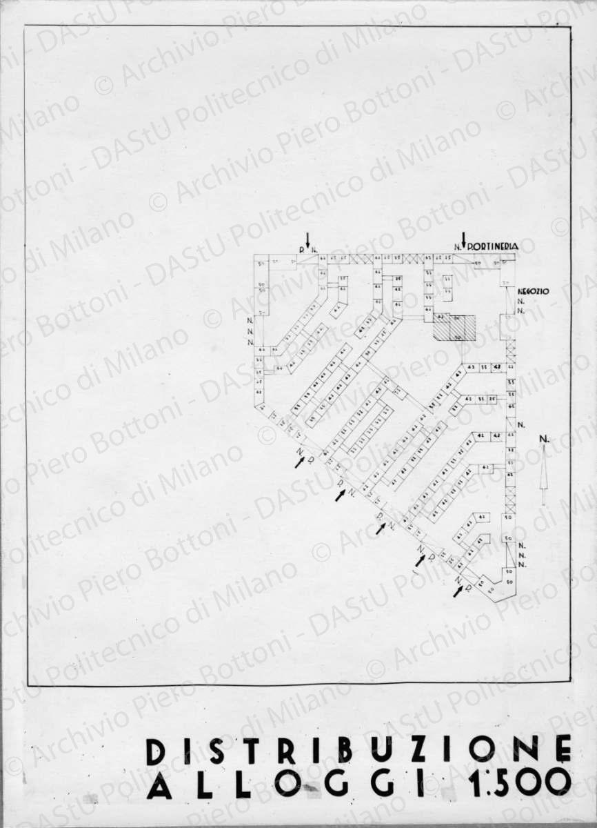 Positivo, bn, mm 230x170. Album nero n.5.