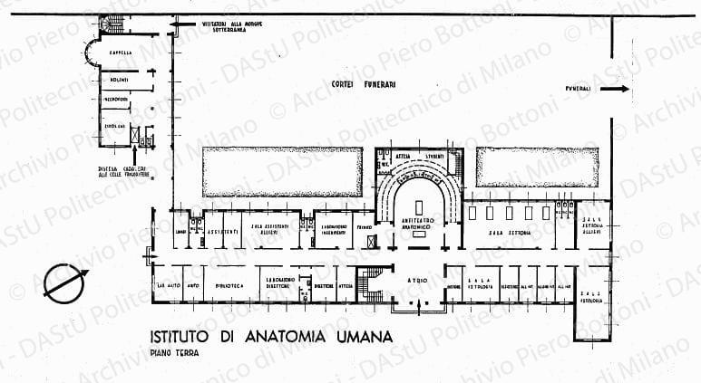 Istituto di anatomia umana, piano terra, pianta, scala 1:100, s.d. China su lucido, cm 63,5x108,8.