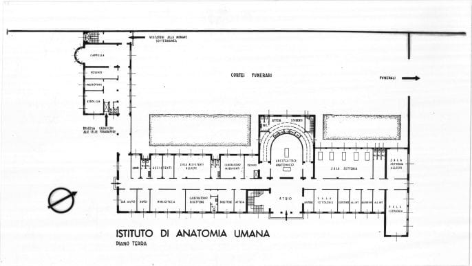 Riproduzione piano terra "Istituto di anatomia umana". Positivo, bianco e nero, 98x173 mm, album giallo n.10, pag.6.