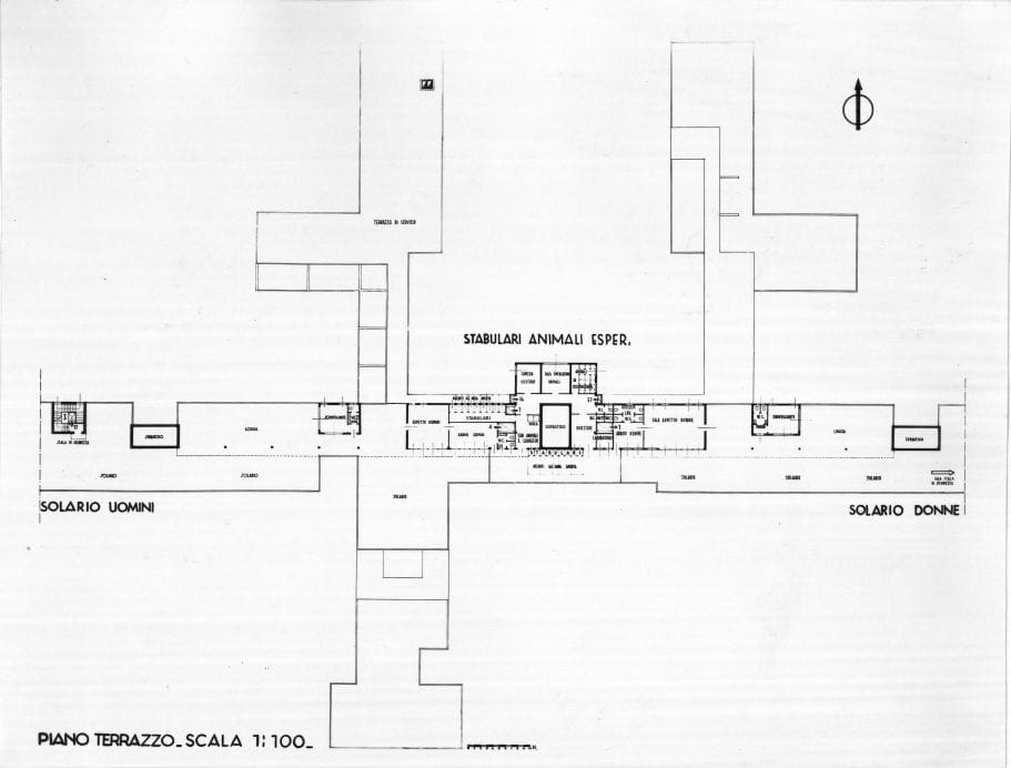 Riproduzione di planimetria: "Piano terrazzo. 1:100". Positivo, bianco e nero, 176x231 mm, album giallo n.10, pag.12.