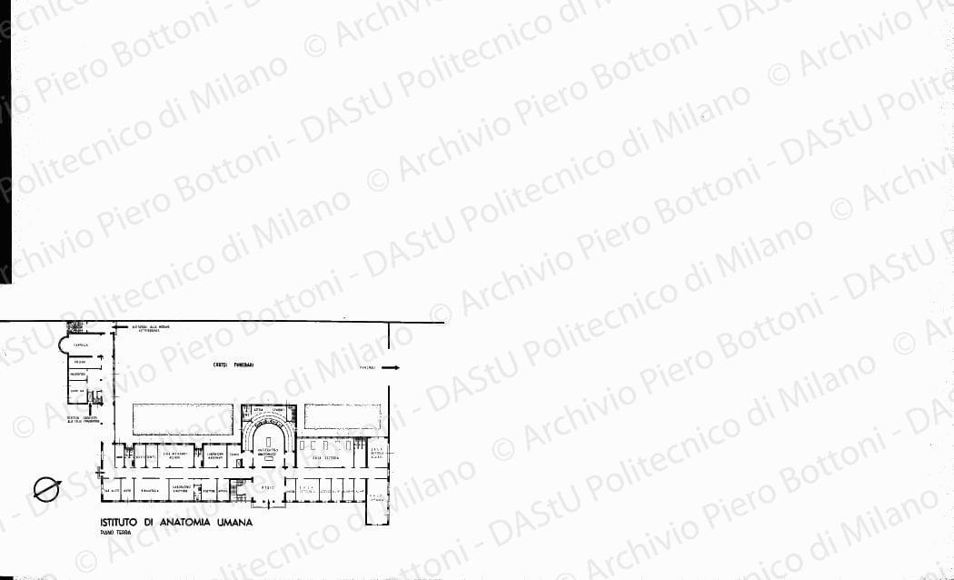 Riproduzione piano terra "Istituto di anatomia umana", positivo, bianco e nero, mm 129x178. Su tre fotografie timbro ad inchiostro sul verso: "Motto GR PB 1933". Su una fotografia timbro ad inchiostro sul verso: "Quadrante. Società Anonima Editoriale. Sede di Milano".