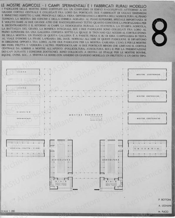 Riproduzione "Tavola 8. Le mostre agricole. I campi sportivi sperimentali e i fabbricati rurali modello. Pianta scala 1:200", positivo, bianco e nero, mm 207x170. 