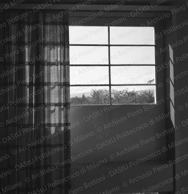 Negativo, bianco e nero, mm 56x59.