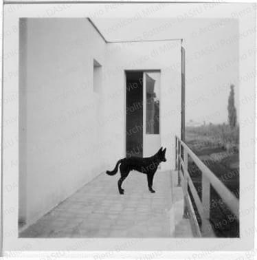 Veduta del balcone, positivo, bianco e nero, mm 60x60. 
