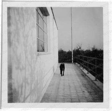 Veduta del balcone, positivo, bianco e nero, mm 6x6. 