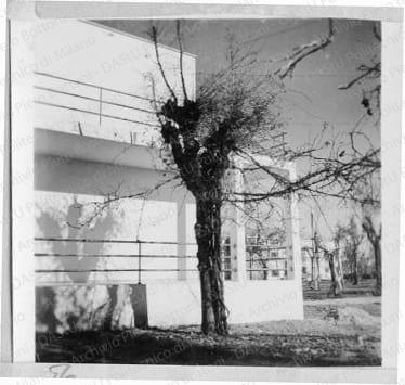 Veduta del prospetto sud, positivo, bianco e nero, mm 60x60. Fotografia in album.