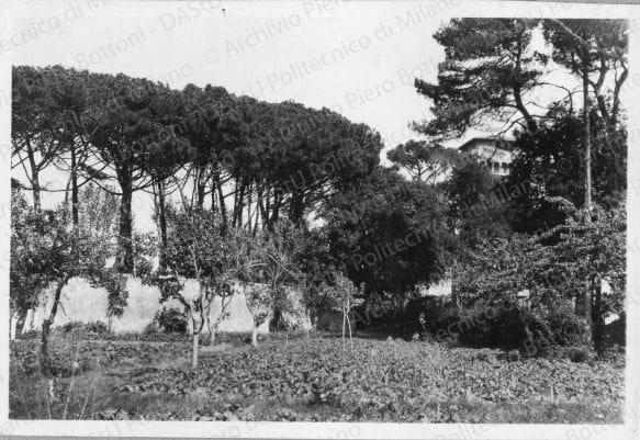 Positivo, bn, mm 56x83. Album nero n.12.