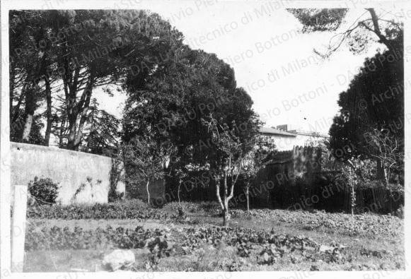 Positivo, bn, mm 66x45. Album nero n.12.