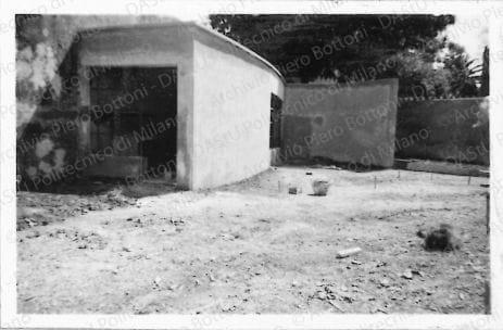 Positivo, bn, mm 56x87. Album nero n.12.