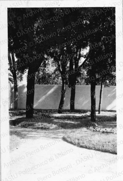 Positivo, bn, mm 90x63. Album nero n.12.