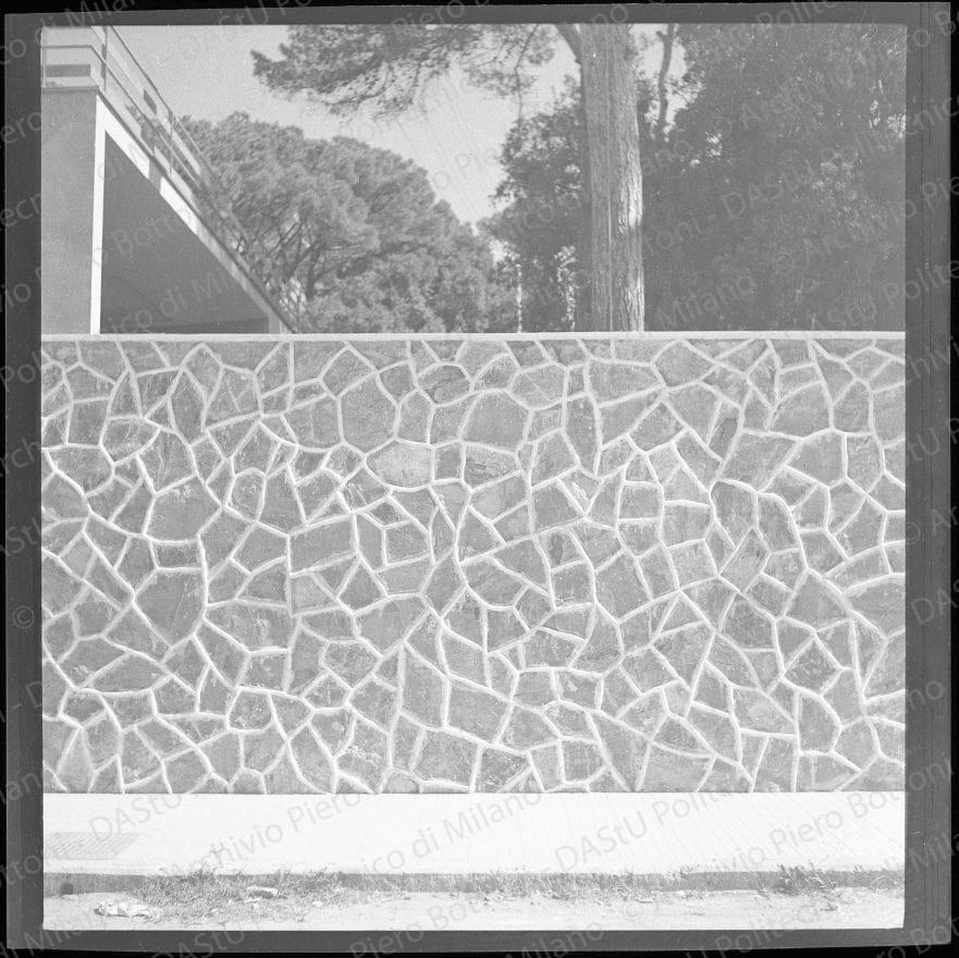Negativo, bianco e nero, mm 56x59.