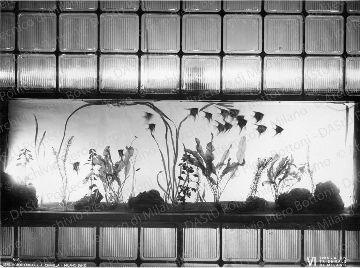 Veduta dell'acquario, positivo, bianco e nero, mm 174x234. Timbro ad inchiostro sul verso: "VI Triennale di Milano 1936 XIV. Servizio fotografico. A norma di legge, qualunque riproduzione della presente fotografia dovr? portare l'indicazione del nostro nome. Stab. Fot. Crimella - Milano".
