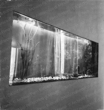 Particolare dell'acquario nel muro. Positivo, bianco e nero, 55x53 mm, album giallo n.8, pag.89.