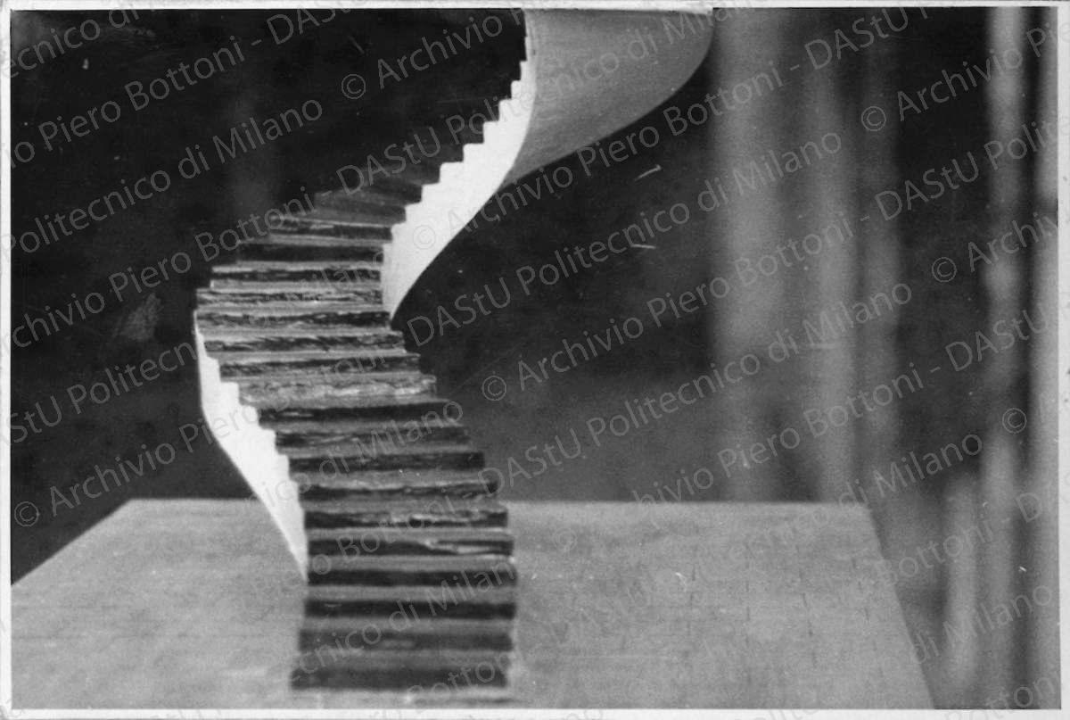 Positivo, bn, mm 82x122. Album nero n.14.