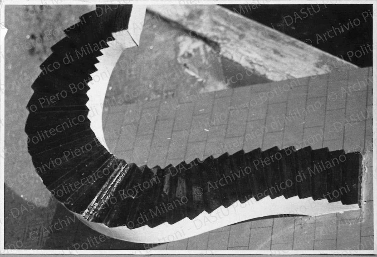 Positivo, bn, mm 82x122. Album nero n.14.