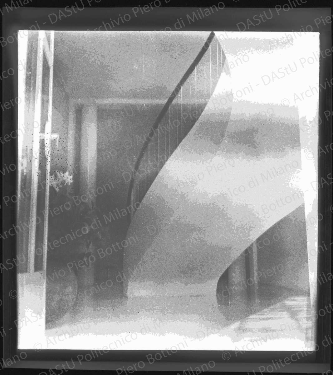 Negativo, bianco e nero, mm 56x59.