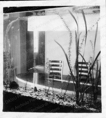Particolare acquario, sala da pranzo, positivo, bianco e nero, mm 65x60. 
